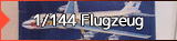 1/144 Flugzeug